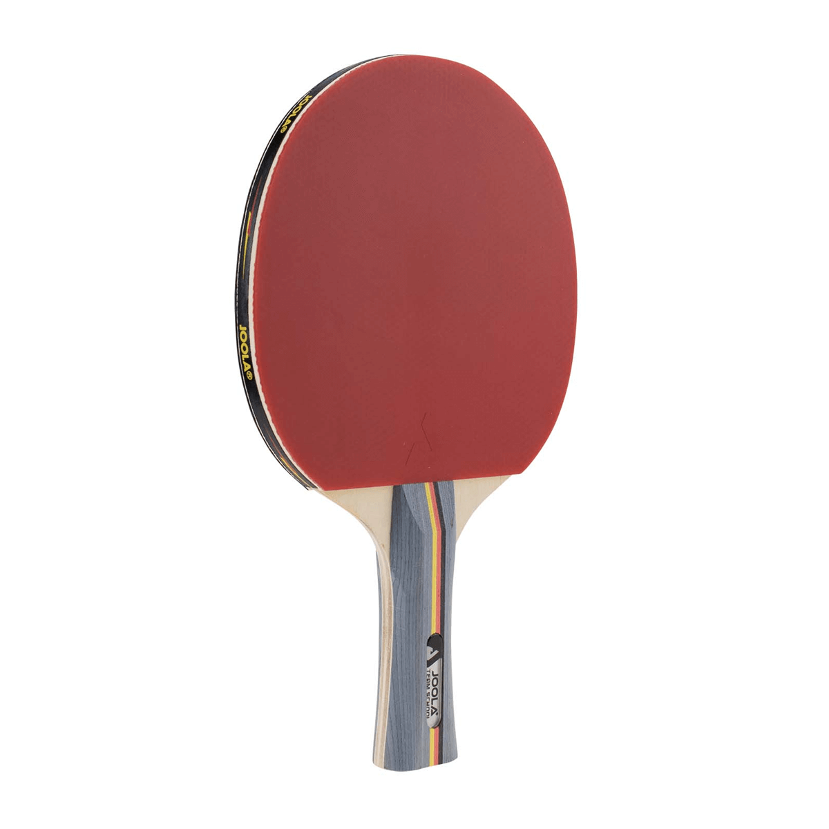 JOOLA TEAM SCHOOL Table Tennis Racket